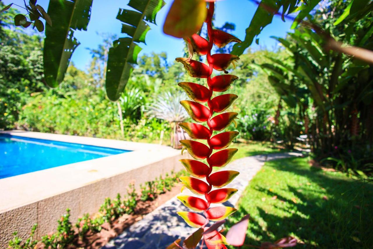 Hotel Casa Merlin Puerto Viejo de Talamanca Exteriér fotografie
