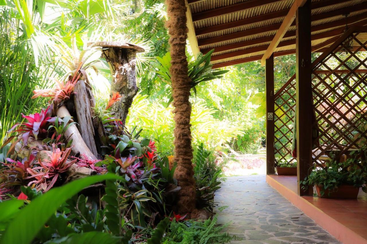 Hotel Casa Merlin Puerto Viejo de Talamanca Exteriér fotografie