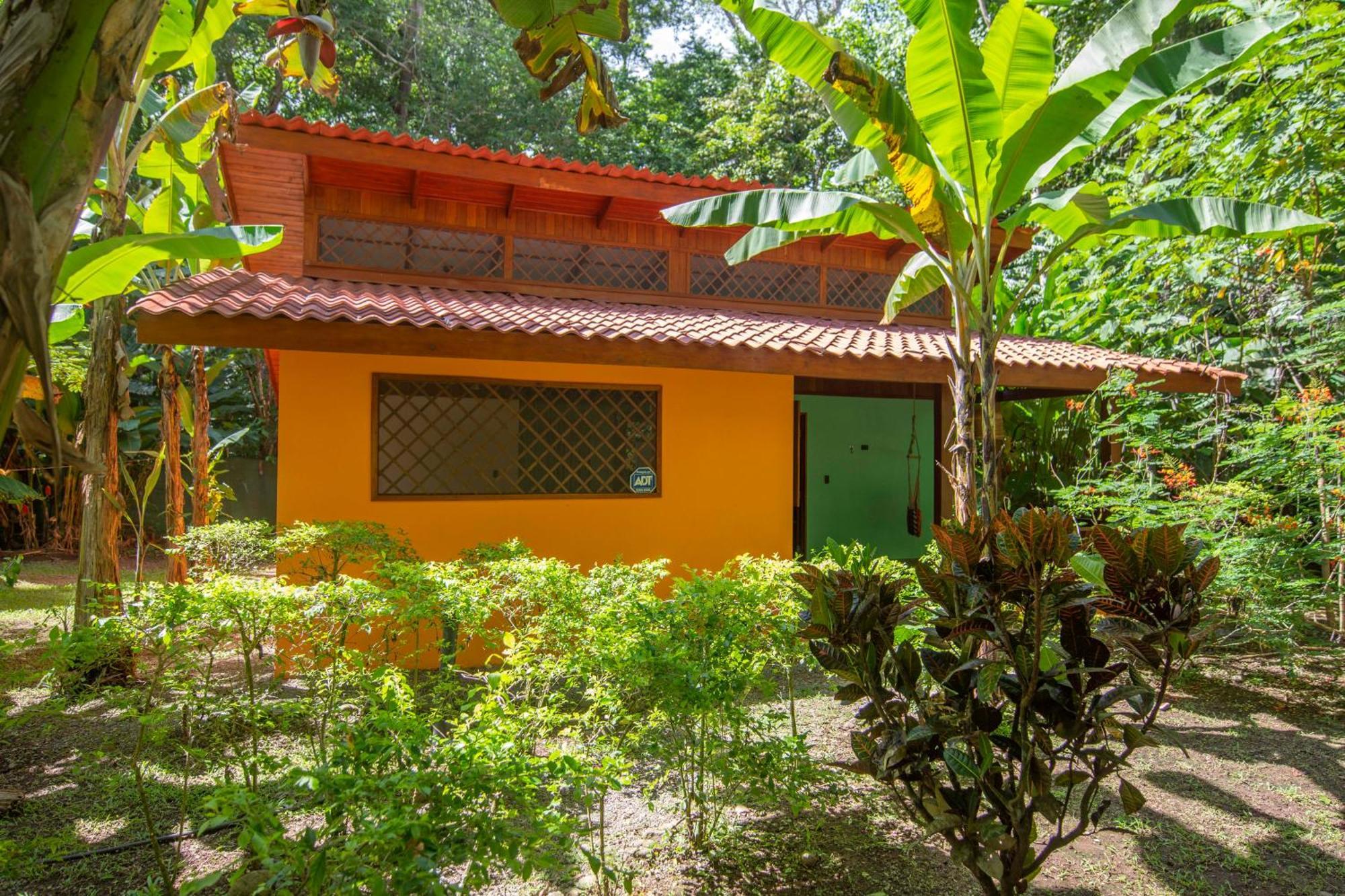 Hotel Casa Merlin Puerto Viejo de Talamanca Exteriér fotografie