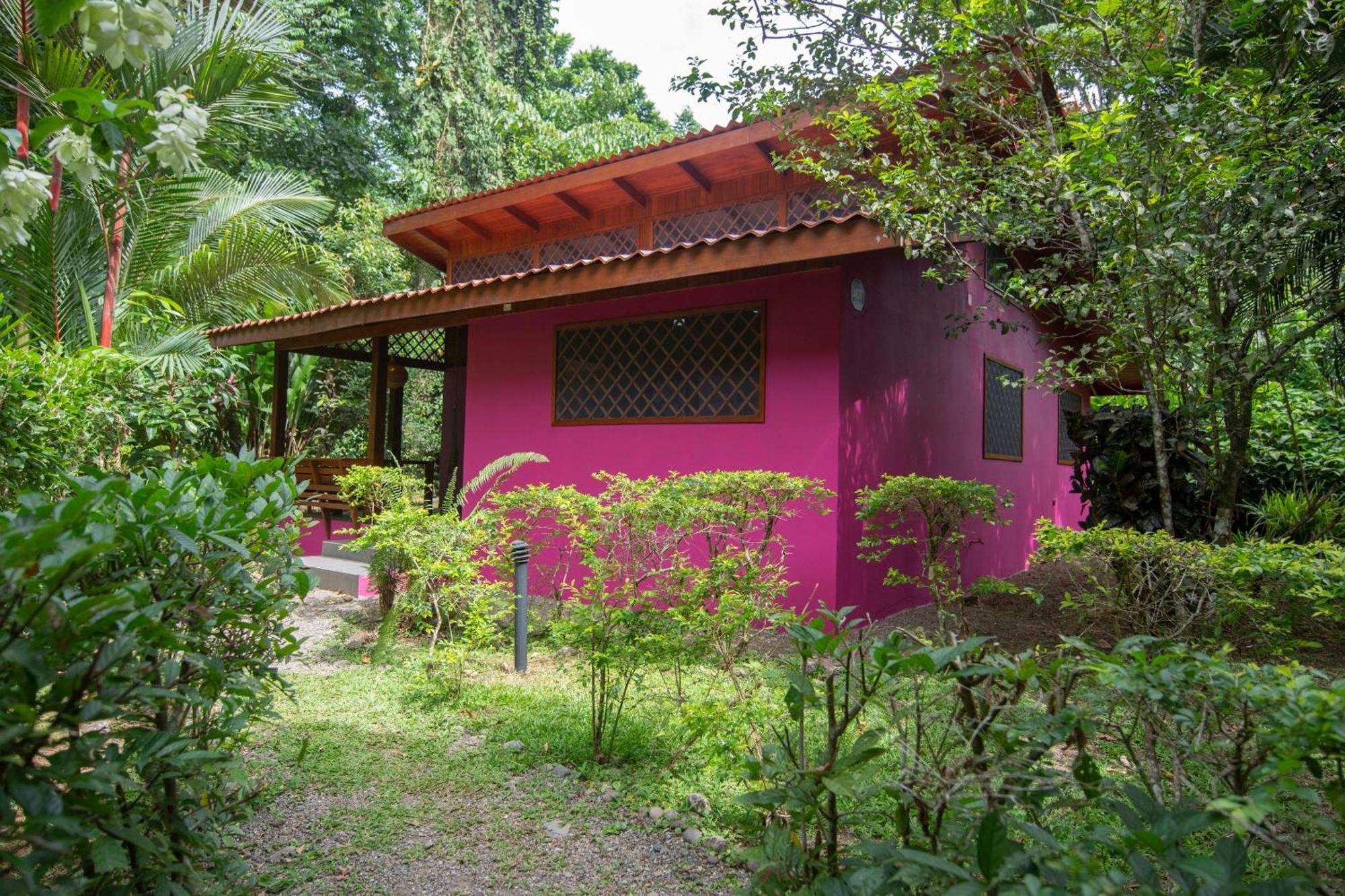 Hotel Casa Merlin Puerto Viejo de Talamanca Exteriér fotografie