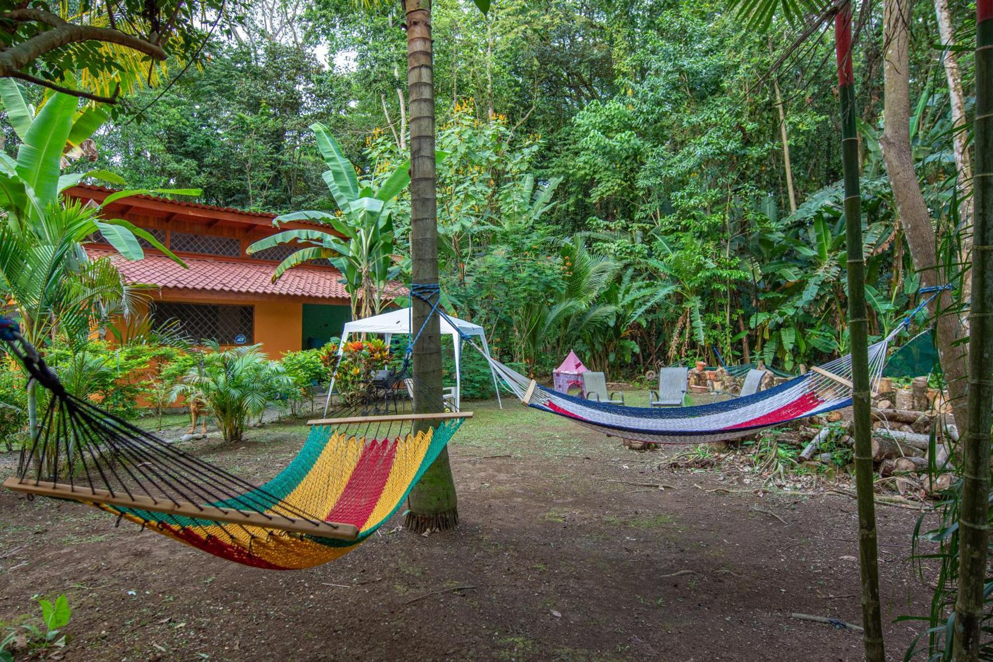 Hotel Casa Merlin Puerto Viejo de Talamanca Exteriér fotografie