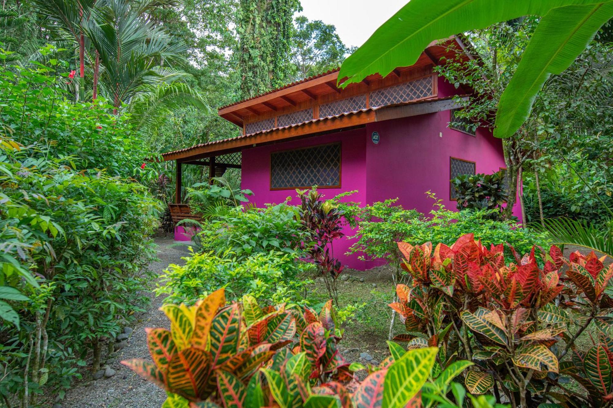 Hotel Casa Merlin Puerto Viejo de Talamanca Exteriér fotografie
