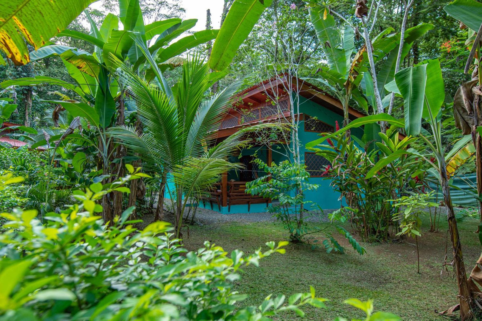 Hotel Casa Merlin Puerto Viejo de Talamanca Exteriér fotografie