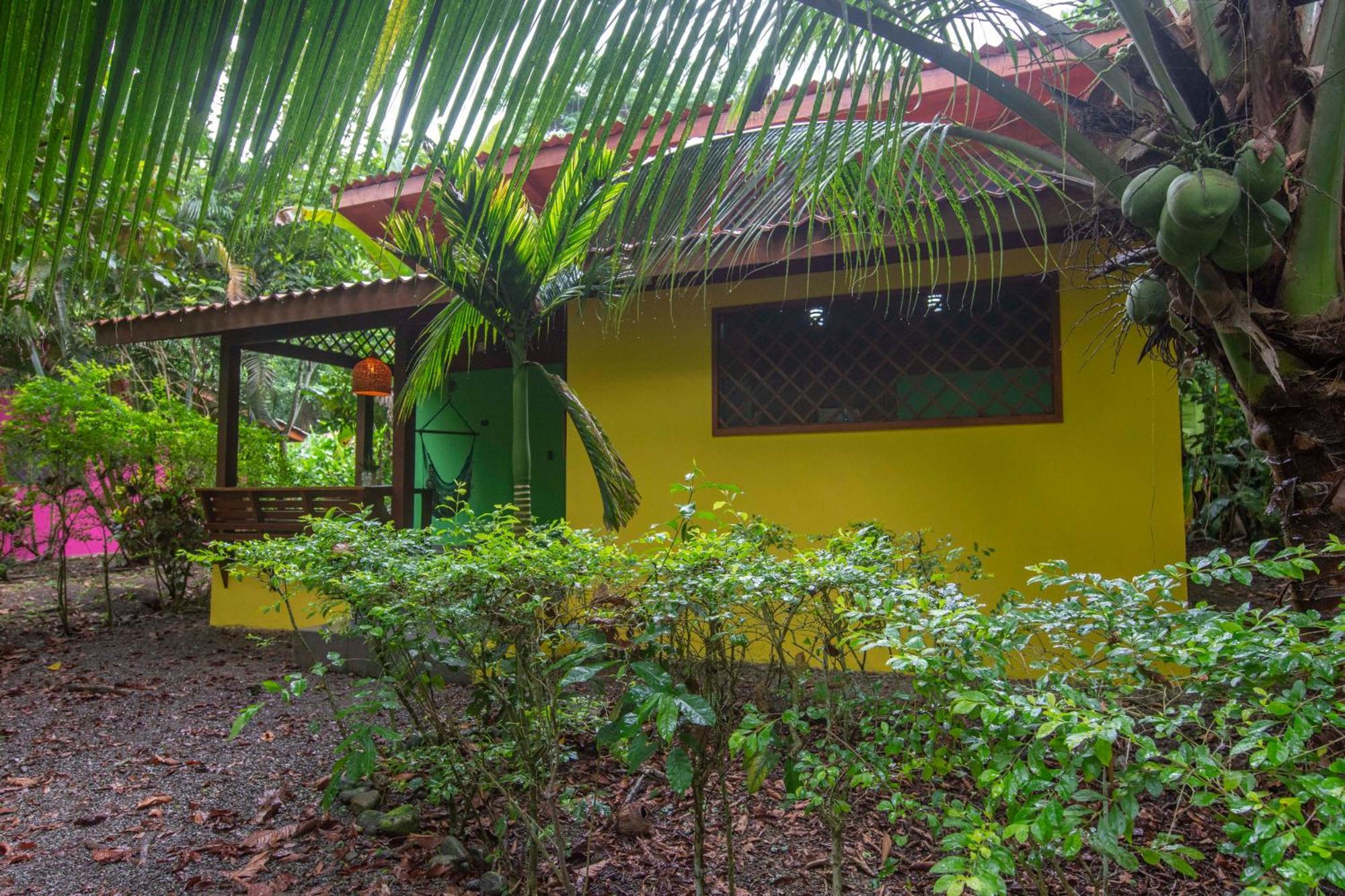 Hotel Casa Merlin Puerto Viejo de Talamanca Pokoj fotografie